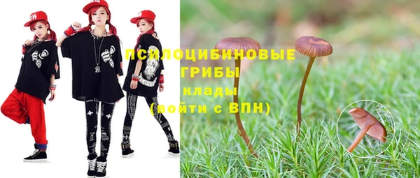 кокс Арсеньев